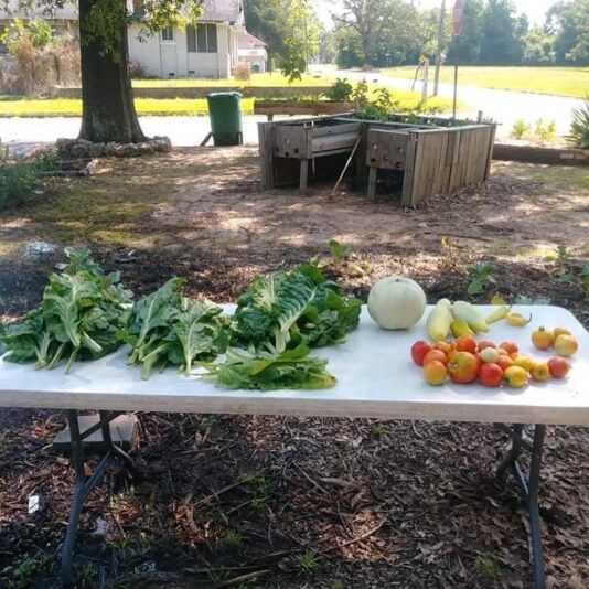 5D504C25-90AD-4D8A-A3CA-5131C161A9EA