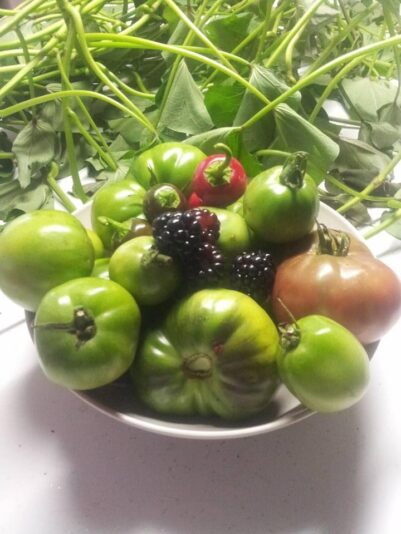 11227E23-DD12-4714-A109-2319CA065704