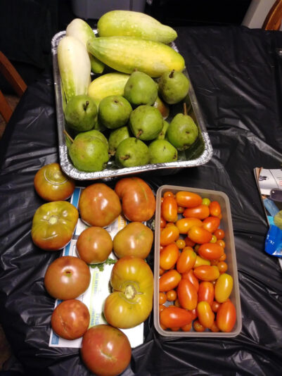 AB4193AE-2D6B-474A-86E4-1B5C16415B74