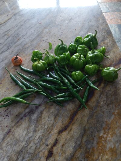 764a3f79-e64c-43e4-86ac-64fa9677461d