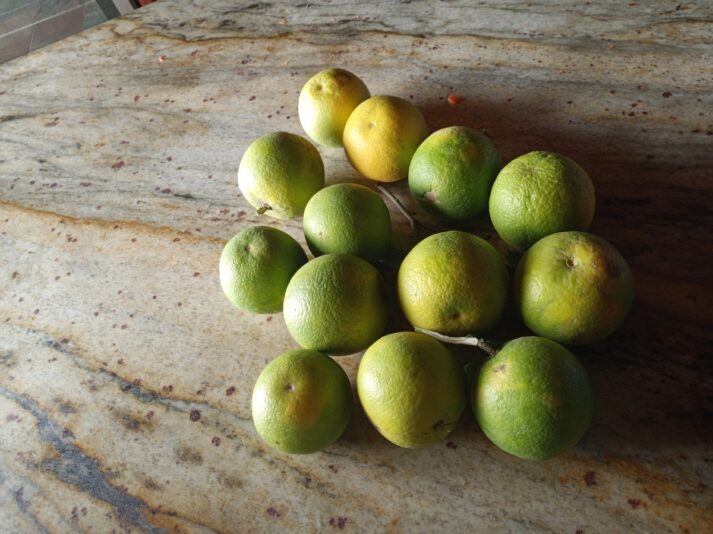 f133bdc1-fa97-4ef8-bbdb-798bdd356f35