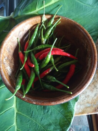 ae3c830d-2801-4c92-9f5f-cb0ec55e9378