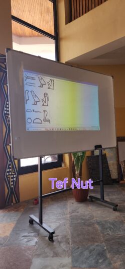 52c77fa8-b8a1-4d52-9202-9c22ce86ecc1