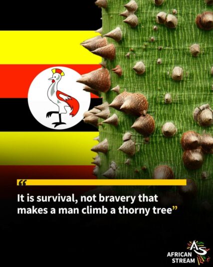 photo_2024-05-26_20-15-01