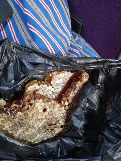 065f6b44-5e9e-4e51-a076-9d7e2cbbd0a2