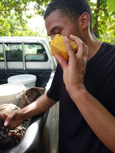 f739d71d-bf34-4102-a019-2241e122536d