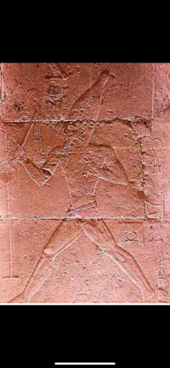 B28F7A7D-3501-434E-BCE5-B4729A74094C