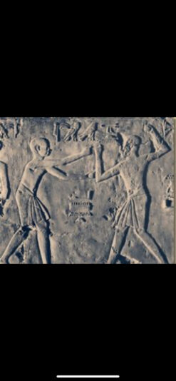 739277FB-EEDE-4E52-858B-7BF1FF499B7D