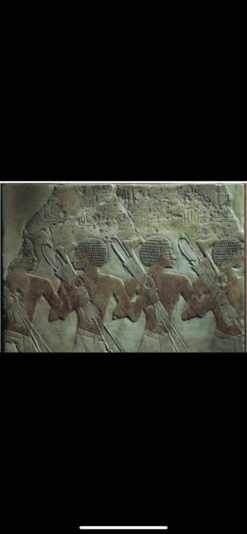 C8510432-65BC-4897-9678-EA7106BBD62E