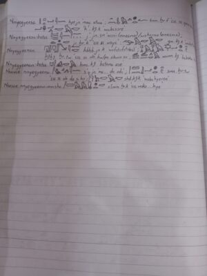 7664d467-e219-4856-9d2a-5ee62df5bd05