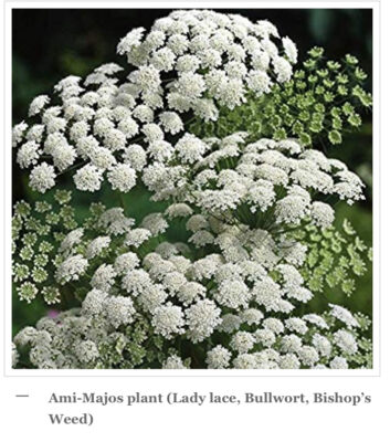 85E486AF-AA5E-40F6-96B6-F449C2B6FBDD