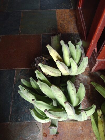 f1e3fba4-b8e2-4a35-8ca9-60f5dc475206