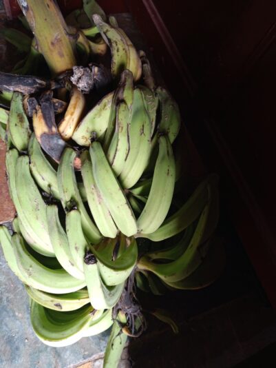 bca4ae80-84e4-4741-ac9a-1ef3e0e81add