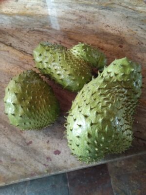 IMG_20240629_124018_336