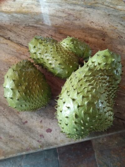 IMG_20240629_124018_336