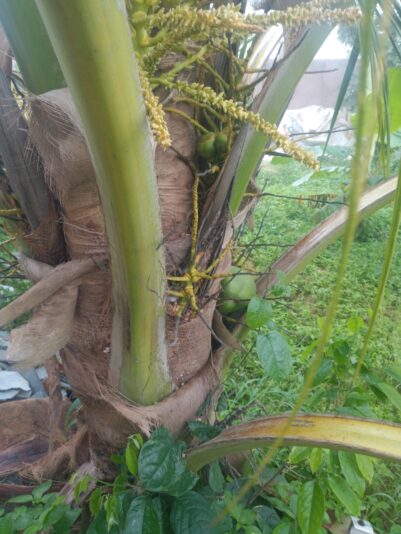 213b8961-0181-457c-9797-f5a4759aed8e