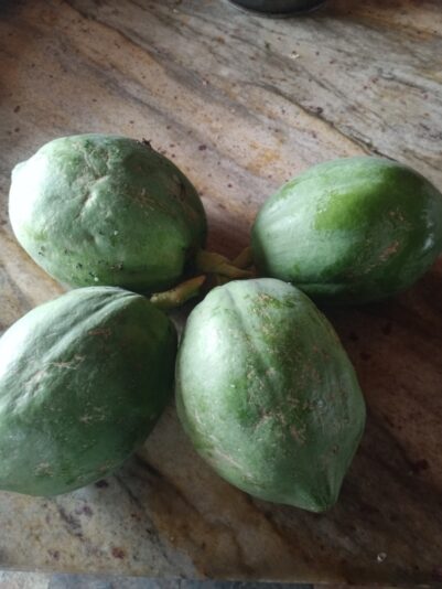 fa840f34-a364-4ef8-9ce8-92b6cc7792da