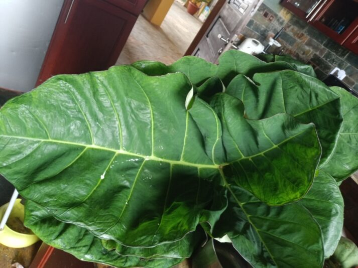 0314237f-0dc9-4de2-ad99-47b09b6a1db9