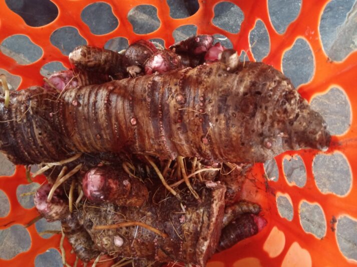 7728ae94-f44c-49c5-9bdc-4710c5a711ea