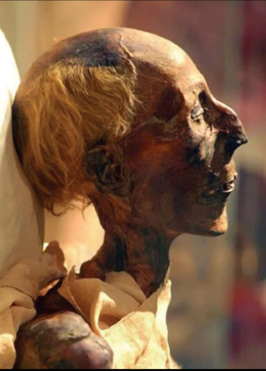 F38A4C6C-F776-47FD-955F-4CE52BE86705