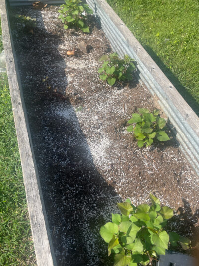 88F077A5-7D52-455C-AB46-56F29FADB6AD