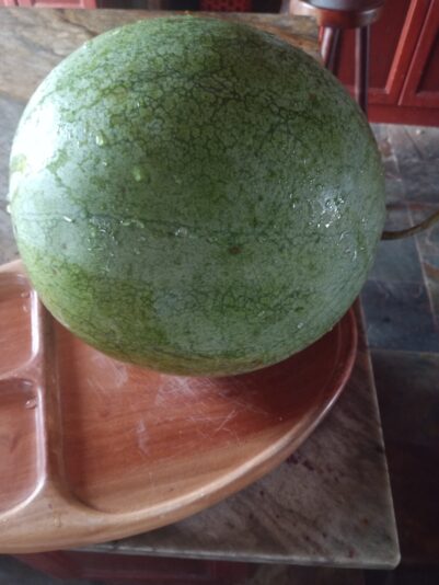 IMG_20240805_084238_274