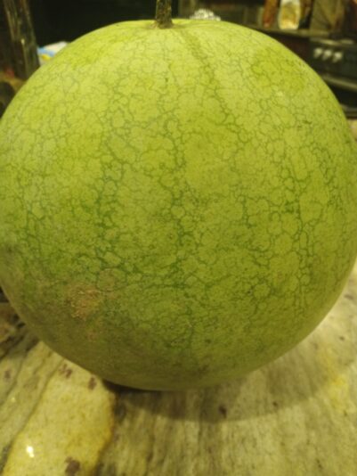 IMG_20240802_001110_916