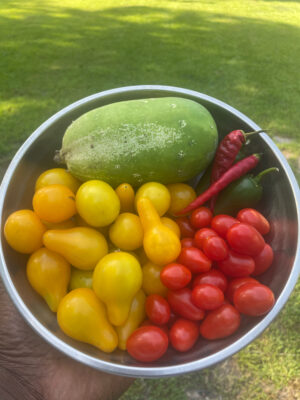 A3F777FB-5F81-4C22-B2F8-43E7D3DA621D