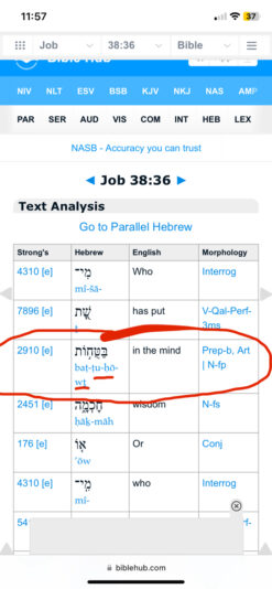 7973C715-AC9B-48FD-B51C-D4A431F35566