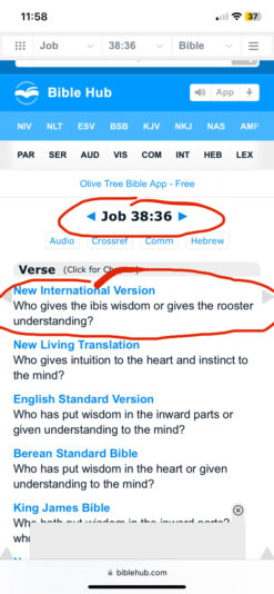 BE1DA80E-0E6B-4646-99BF-157437FD1609