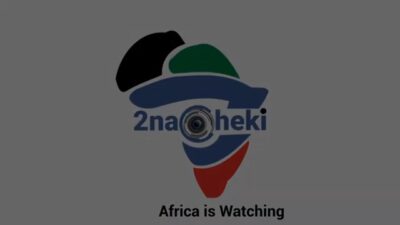 Zambian Politician Begs the West to Continue Steal Africa's Minerals but to Leave Us the Money