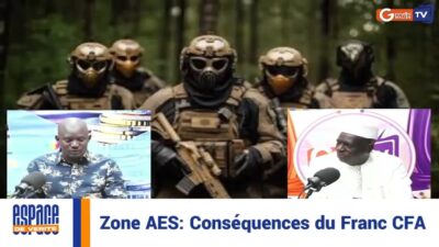 Les Conséquences du CFA sur la Zone AES