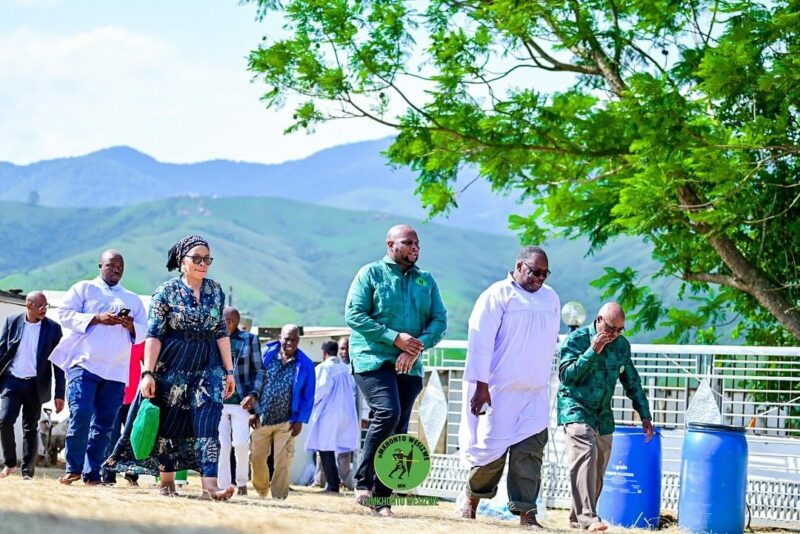 Snapinsta.app_469099954_18474808660025266_5611798453511965855_n_1080