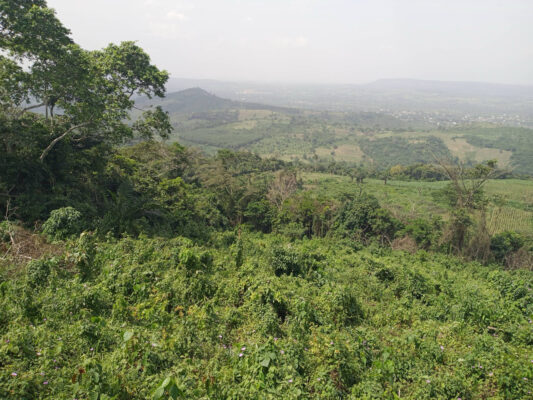 2090EE15-1996-49C7-9F21-2EFBB4C21457