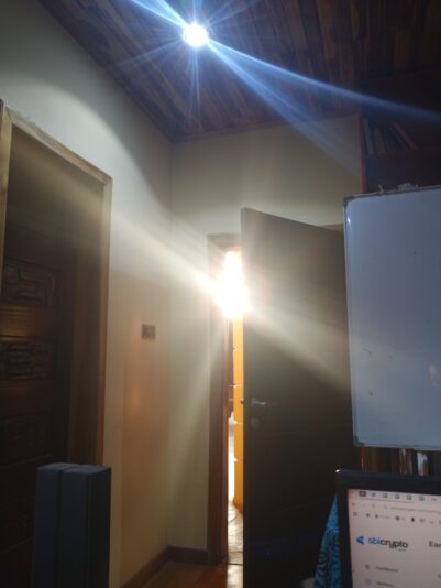 c10a210b-e322-4824-9a49-0c1c3b0fc8fc