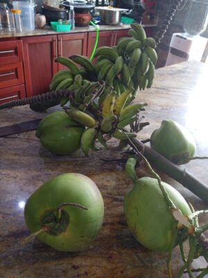 22f897fb-597b-4258-a3b9-28ce6253a103