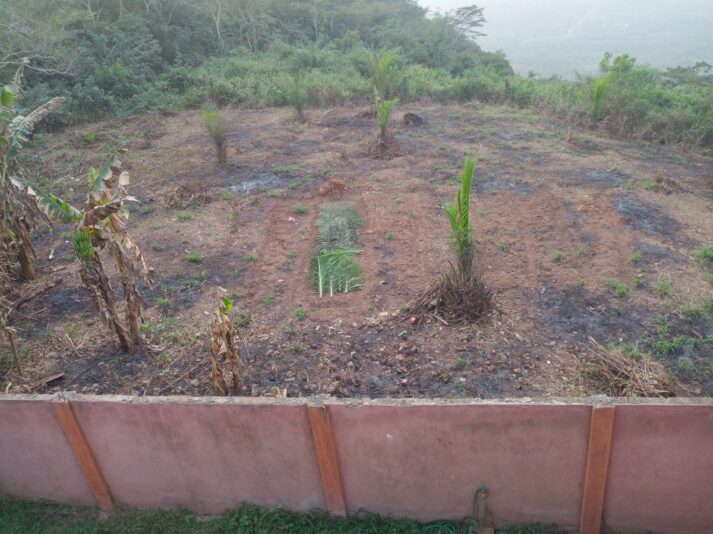 ef24dc53-d2cc-47e4-bf6f-26452a596159