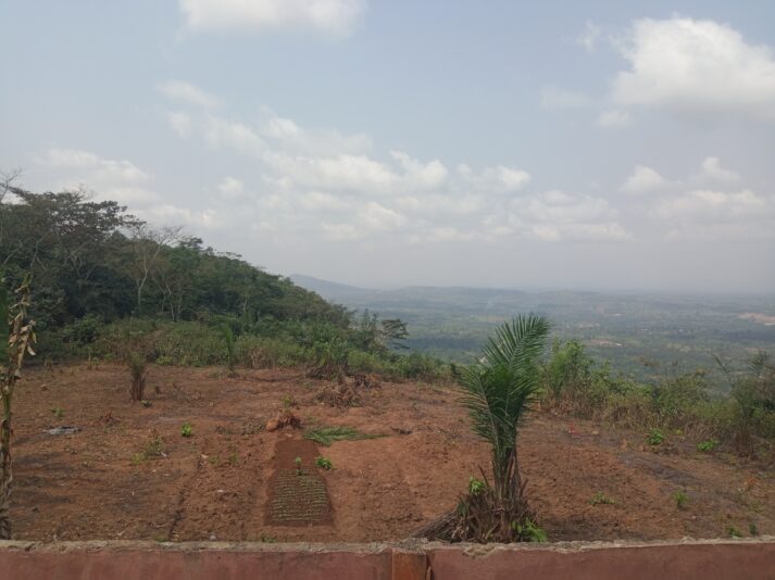 263fef21-8ec0-4bd4-b4de-5c38977b04e2