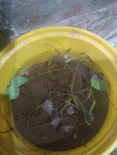 3c9af0a0-725a-4fa6-b8db-f72e064306e2