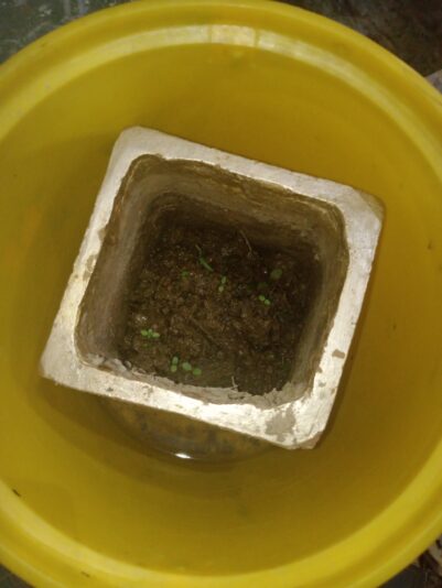 925d1b38-7891-49c8-8440-3f453a0e7f04