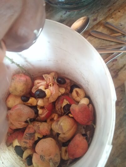 b4c3cd08-a273-41e5-9b81-b4e99b06e6ae