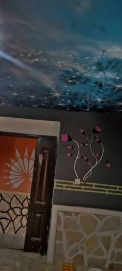 5BBE37CD-E44D-49D4-BB98-3339BF38B323