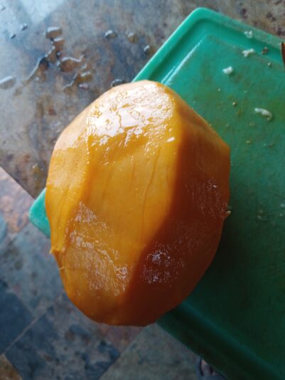 2cc7ce45-2746-4253-9293-e99587963f26