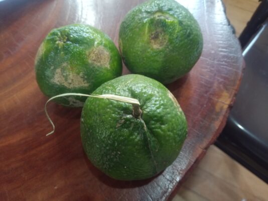 e3748f52-3ce4-4146-84dd-53255f422172