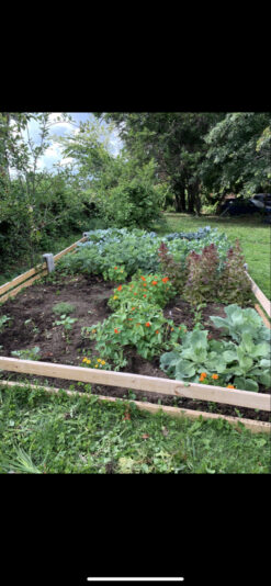 A1980054-81F4-4A2D-970D-E24FACAD4342