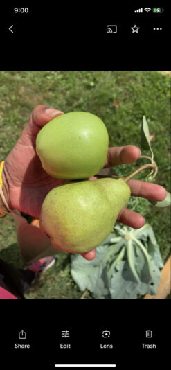 CD9749CD-A0C4-433D-BEE0-51C7AC85DE33