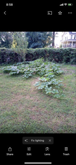 1B729DC8-981C-44A1-B005-F661EB250B0D