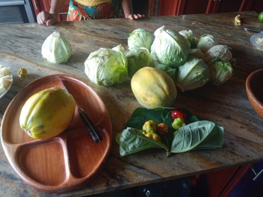 7203d3bb-bcb7-4ce1-8559-a2248c99bca6