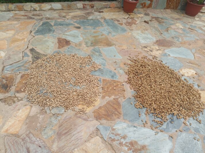 c21157a2-a88d-44bb-a5f2-ceff99680e17