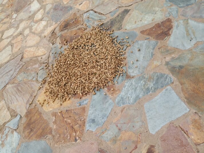 efbfa7dc-0003-42f0-b937-7f03d5d7febf